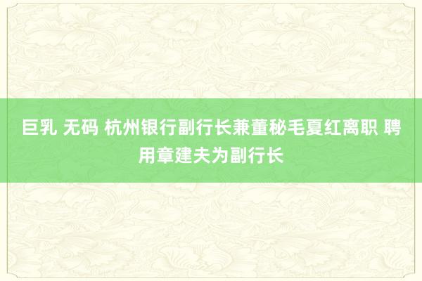 巨乳 无码 杭州银行副行长兼董秘毛夏红离职 聘用章建夫为副行长