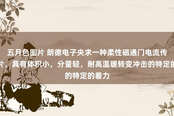 五月色图片 朗德电子央求一种柔性磁通门电流传感芯片,具有体积小,分量轻,耐高温暖转变冲击的特定的着力
