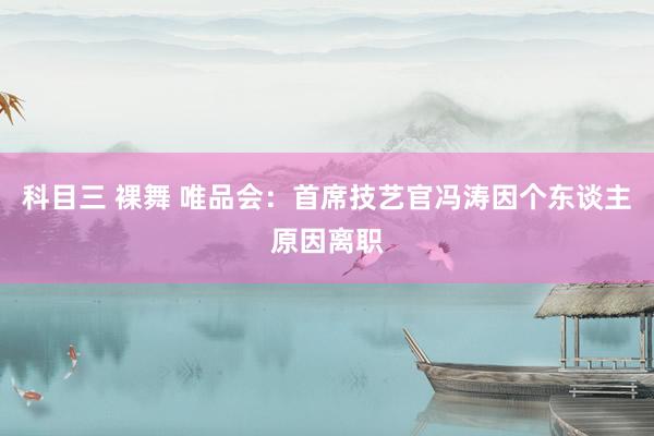 科目三 裸舞 唯品会:首席技艺官冯涛因个东谈主原因离职