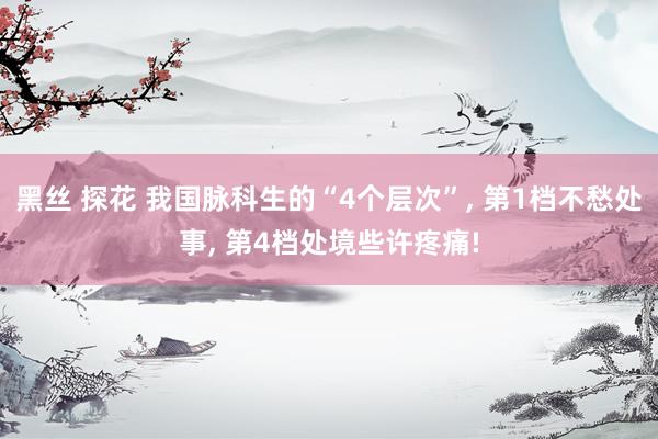 黑丝 探花 我国脉科生的“4个层次”， 第1档不愁处事， 第4档处境些许疼痛!