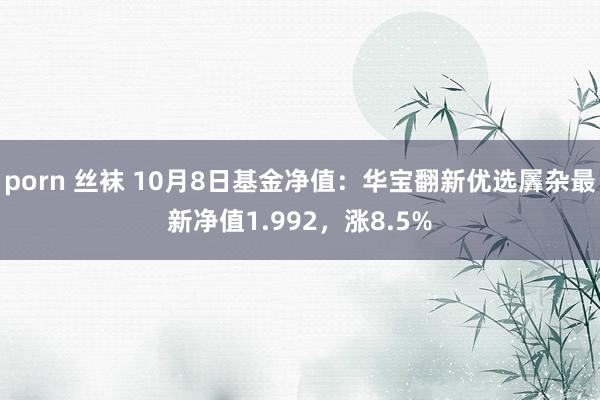 porn 丝袜 10月8日基金净值:华宝翻新优选羼杂最新净值1.992,涨8.5%