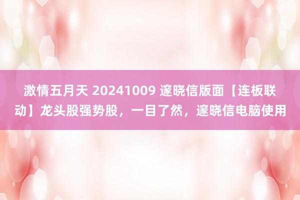激情五月天 20241009 邃晓信版面【连板联动】龙头股强势股,一目了然,邃晓信电脑使用