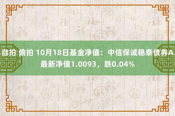 自拍 偷拍 10月18日基金净值:中信保诚稳泰债券A最新净值1.0093,跌0.04%