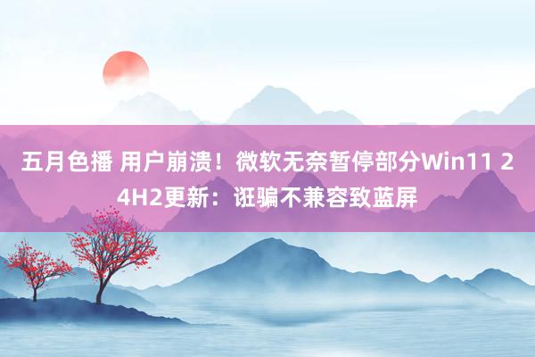 五月色播 用户崩溃！微软无奈暂停部分Win11 24H2更新：诳骗不兼容致蓝屏