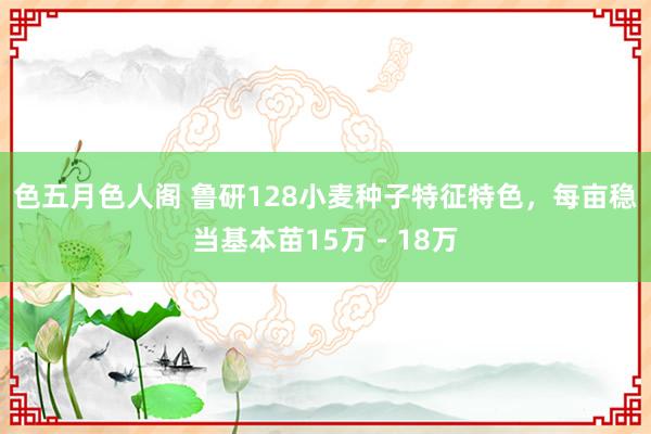 色五月色人阁 鲁研128小麦种子特征特色,每亩稳当基本苗15万-18万