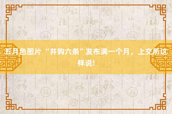 五月色图片 “并购六条”发布满一个月，上交所这样说!