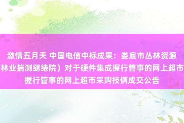 激情五月天 中国电信中标成果：娄底市丛林资源监测中心（娄底市林业揣测缱绻院）对于硬件集成握行管事的网