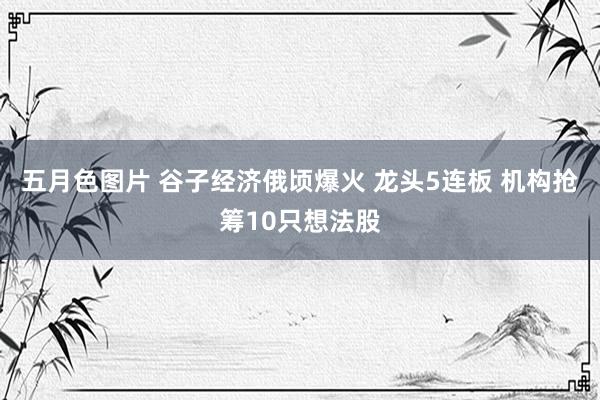 五月色图片 谷子经济俄顷爆火 龙头5连板 机构抢筹10只想法股