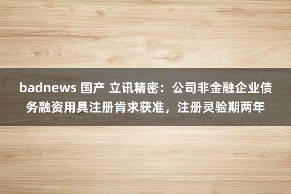 badnews 国产 立讯精密：公司非金融企业债务融资用具注册肯求获准，注册灵验期两年