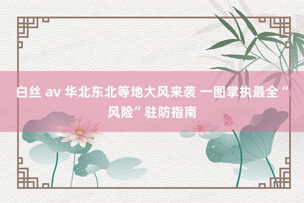 白丝 av 华北东北等地大风来袭 一图掌执最全“风险”驻防指南