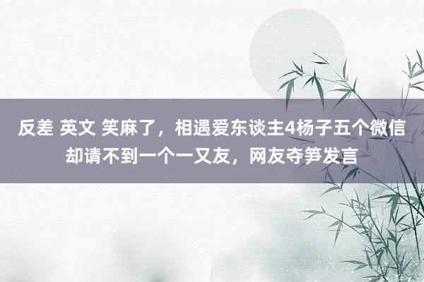 反差 英文 笑麻了，相遇爱东谈主4杨子五个微信却请不到一个一又友，网友夺笋发言