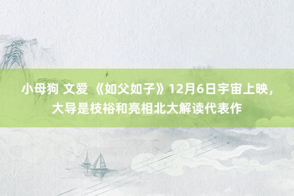 小母狗 文爱 《如父如子》12月6日宇宙上映，大导是枝裕和亮相北大解读代表作