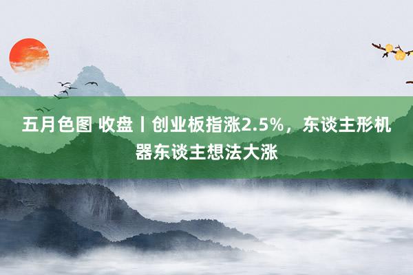 五月色图 收盘丨创业板指涨2.5%，东谈主形机器东谈主想法大涨