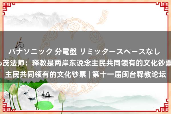 パナソニック 分電盤 リミッタースペースなし 露出・半埋込両用形 心茂法师：释教是两岸东说念主民共同