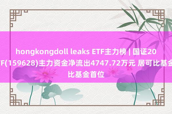 hongkongdoll leaks ETF主力榜 | 国证2000ETF(159628)主力资金净