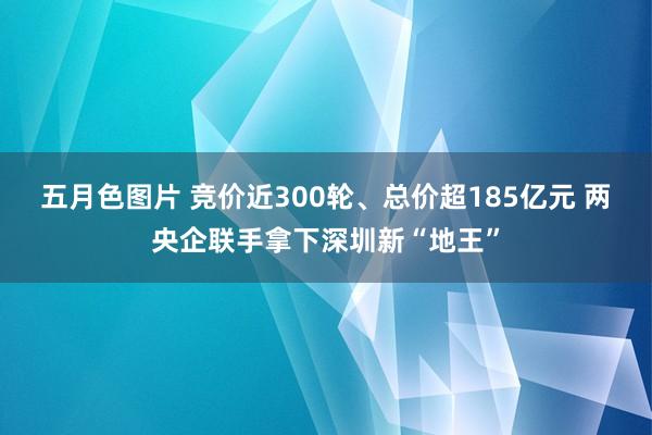 五月色图片 竞价近300轮、总价超185亿元 两央企联手拿下深圳新“地王”