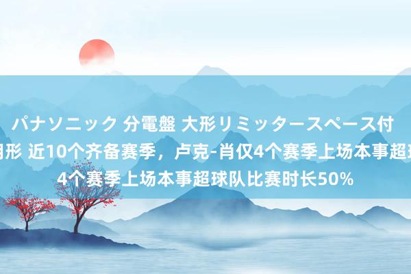 パナソニック 分電盤 大形リミッタースペース付 露出・半埋込両用形 近10个齐备赛季，卢克-肖仅4个