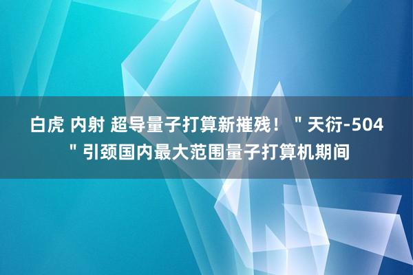 白虎 内射 超导量子打算新摧残!"天衍-504"引颈国内最大范围量子打算机期间