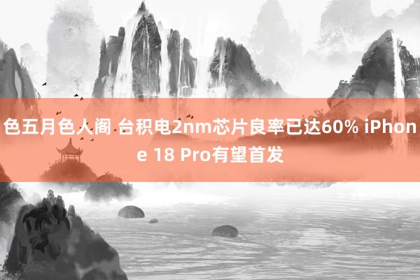 色五月色人阁 台积电2nm芯片良率已达60% iPhone 18 Pro有望首发