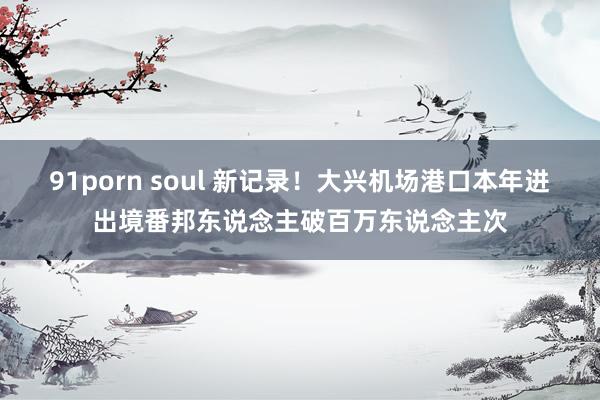 91porn soul 新记录！大兴机场港口本年进出境番邦东说念主破百万东说念主次