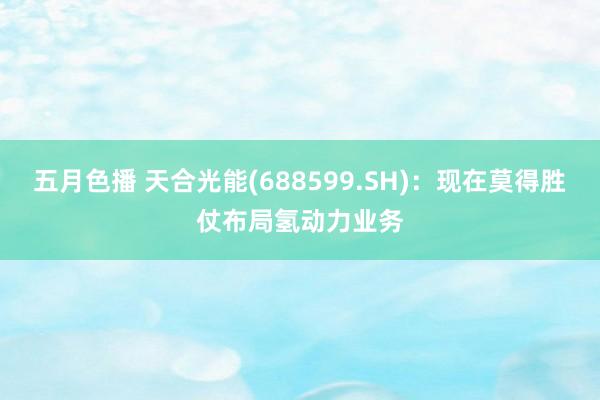五月色播 天合光能(688599.SH)：现在莫得胜仗布局氢动力业务