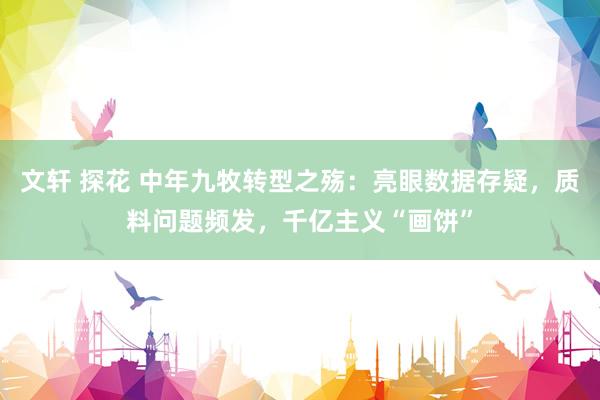文轩 探花 中年九牧转型之殇：亮眼数据存疑，质料问题频发，千亿主义“画饼”