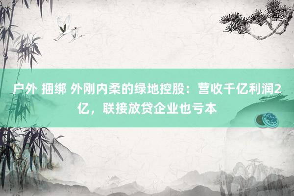 户外 捆绑 外刚内柔的绿地控股：营收千亿利润2亿，联接放贷企业也亏本