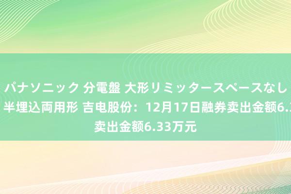 パナソニック 分電盤 大形リミッタースペースなし 露出・半埋込両用形 吉电股份：12月17日融券卖出