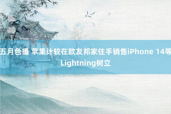 五月色播 苹果计较在欧友邦家住手销售iPhone 14等Lightning树立