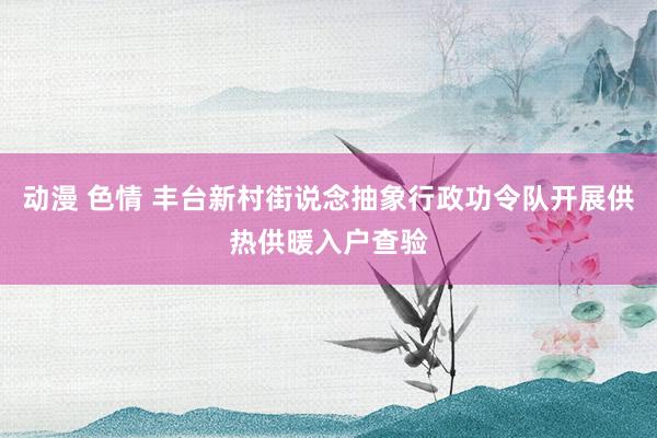 动漫 色情 丰台新村街说念抽象行政功令队开展供热供暖入户查验