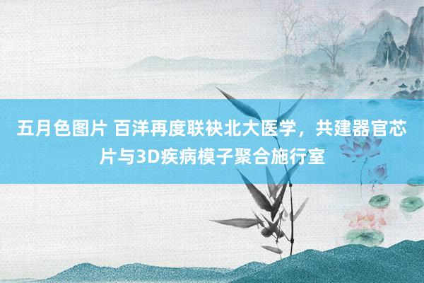 五月色图片 百洋再度联袂北大医学，共建器官芯片与3D疾病模子聚合施行室