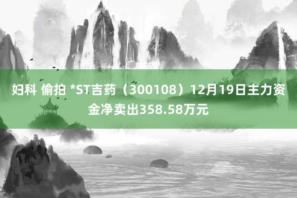 妇科 偷拍 *ST吉药（300108）12月19日主力资金净卖出358.58万元