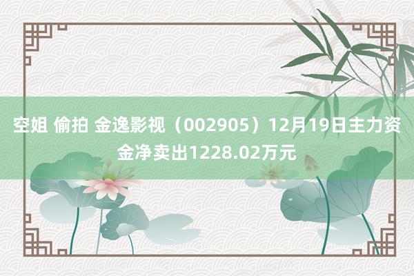 空姐 偷拍 金逸影视(002905)12月19日主力资金净卖出1228.02万元