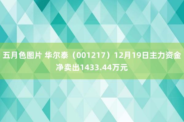 五月色图片 华尔泰（001217）12月19日主力资金净卖出1433.44万元
