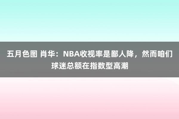 五月色图 肖华：NBA收视率是鄙人降，然而咱们球迷总额在指数型高潮