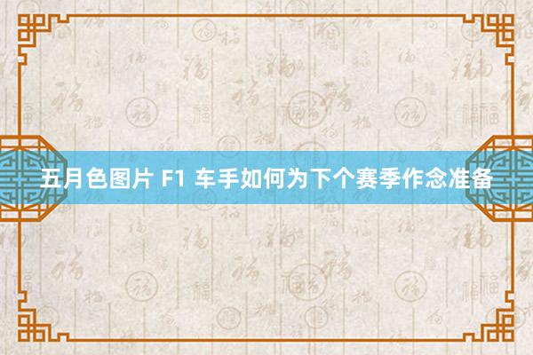 五月色图片 F1 车手如何为下个赛季作念准备