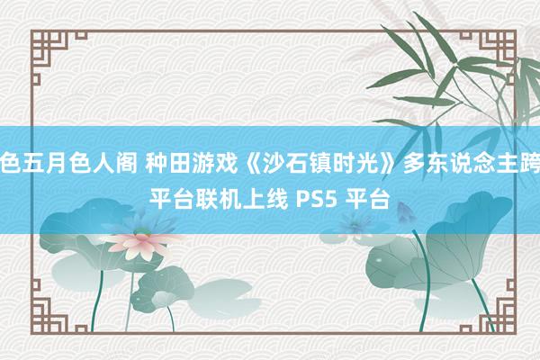 色五月色人阁 种田游戏《沙石镇时光》多东说念主跨平台联机上线 PS5 平台