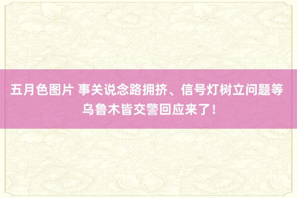 五月色图片 事关说念路拥挤、信号灯树立问题等 乌鲁木皆交警回应来了！