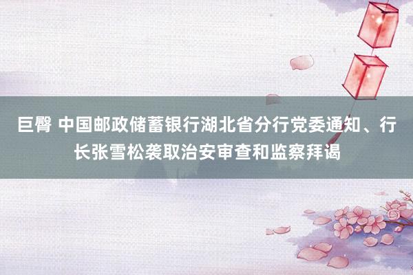 巨臀 中国邮政储蓄银行湖北省分行党委通知、行长张雪松袭取治安审查和监察拜谒