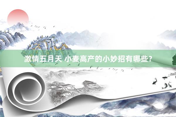 激情五月天 小麦高产的小妙招有哪些？