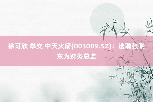 徐可欣 拳交 中天火箭(003009.SZ)：选聘张晓东为财务总监