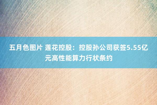 五月色图片 莲花控股：控股孙公司获签5.55亿元高性能算力行状条约