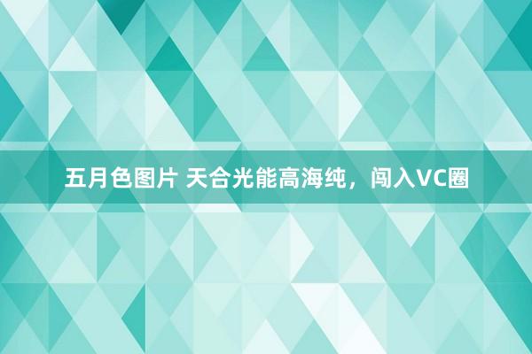 五月色图片 天合光能高海纯，闯入VC圈