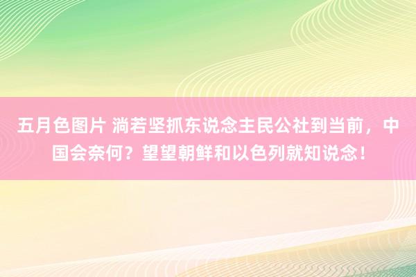 五月色图片 淌若坚抓东说念主民公社到当前，中国会奈何？望望朝鲜和以色列就知说念！