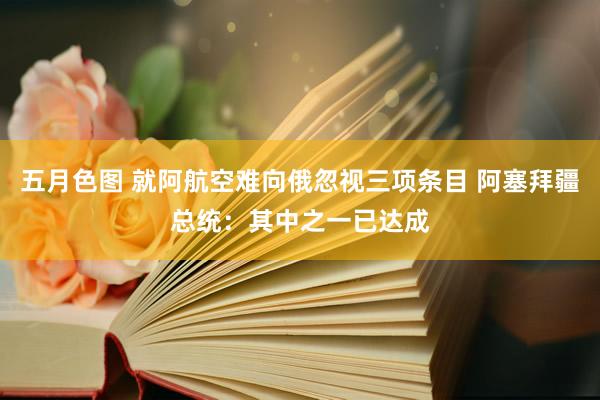 五月色图 就阿航空难向俄忽视三项条目 阿塞拜疆总统：其中之一已达成