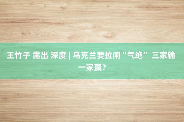 王竹子 露出 深度 | 乌克兰要拉闸“气绝” 三家输 一家赢？