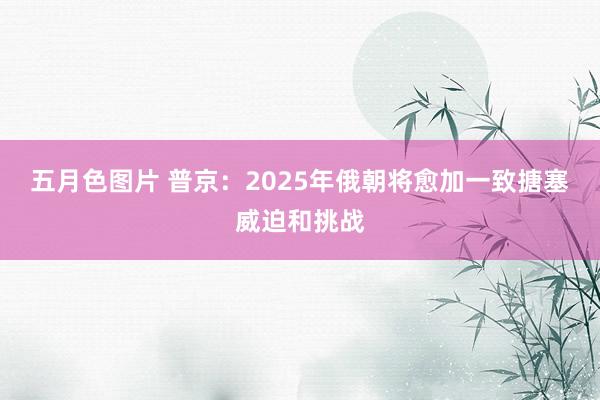 五月色图片 普京：2025年俄朝将愈加一致搪塞威迫和挑战