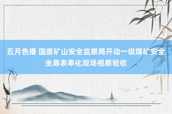 五月色播 国度矿山安全监察局开动一级煤矿安全坐蓐表率化现场视察验收