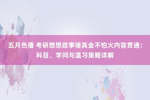 五月色播 考研想想政事锤真金不怕火内容贯通：科目、学问与温习策略详解
