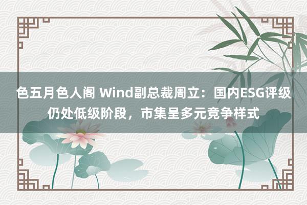 色五月色人阁 Wind副总裁周立：国内ESG评级仍处低级阶段，市集呈多元竞争样式